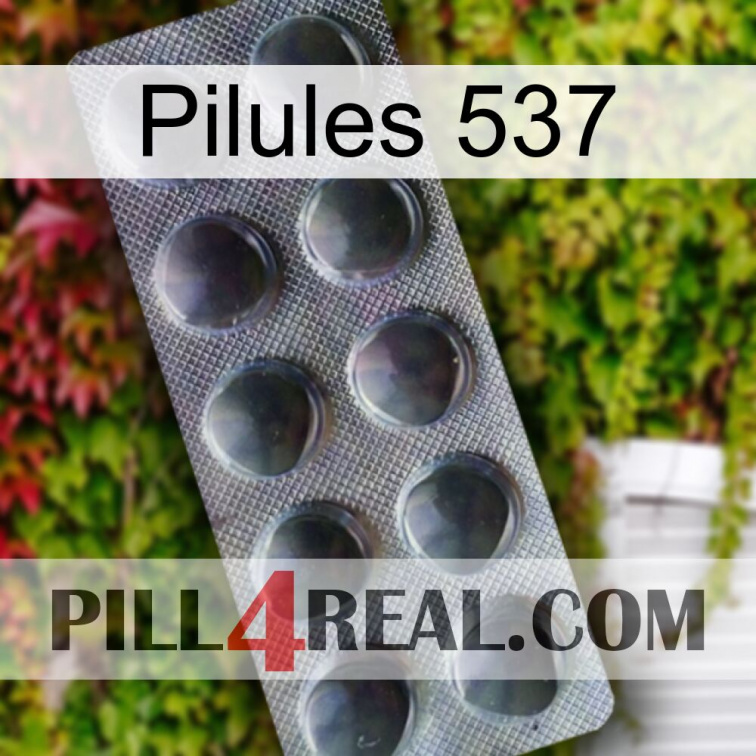 Pills 537 30